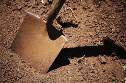 Digging Deep at ASTD with our Coaching Model