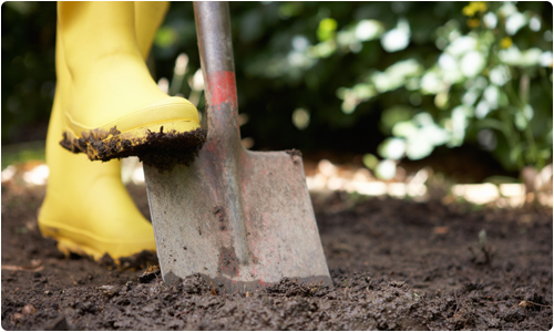 Leadership Tips: Practice Coaching